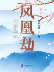 天命归之凤凰劫天命归之凤凰劫